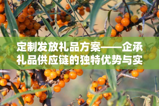 定制发放礼品方案——企承礼品供应链的独特优势与实施策略