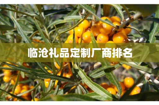 临沧礼品定制厂商排名