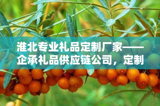 淮北专业礼品定制厂家——企承礼品供应链公司，定制礼品的匠心之选