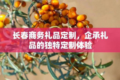 长春商务礼品定制，企承礼品的独特定制体验
