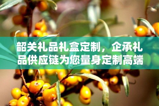 韶关礼品礼盒定制，企承礼品供应链为您量身定制高端礼品礼盒