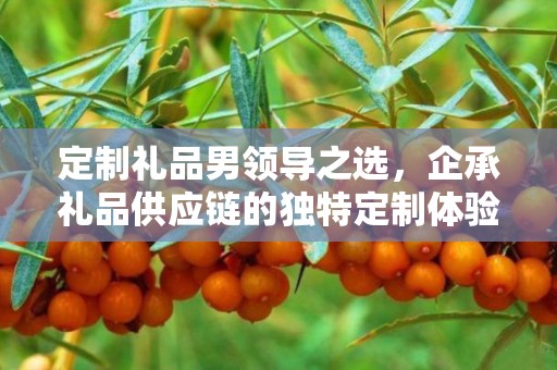 定制礼品男领导之选，企承礼品供应链的独特定制体验