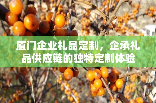 厦门企业礼品定制，企承礼品供应链的独特定制体验
