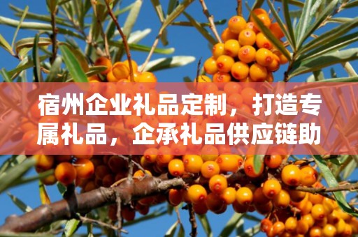 宿州企业礼品定制，打造专属礼品，企承礼品供应链助力企业发展