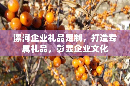 漯河企业礼品定制，打造专属礼品，彰显企业文化