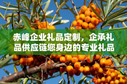 赤峰企业礼品定制，企承礼品供应链您身边的专业礼品定制公司