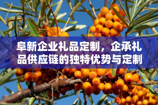 阜新企业礼品定制，企承礼品供应链的独特优势与定制之旅