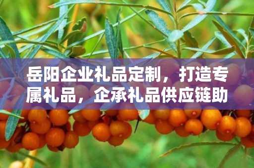 岳阳企业礼品定制，打造专属礼品，企承礼品供应链助力商务发展