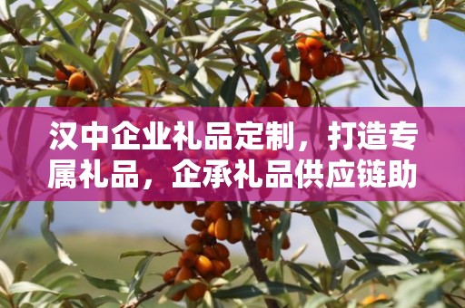汉中企业礼品定制，打造专属礼品，企承礼品供应链助力商务往来