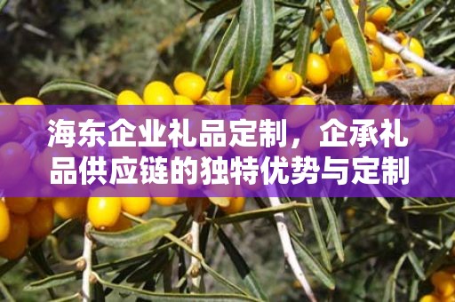 海东企业礼品定制，企承礼品供应链的独特优势与定制之旅