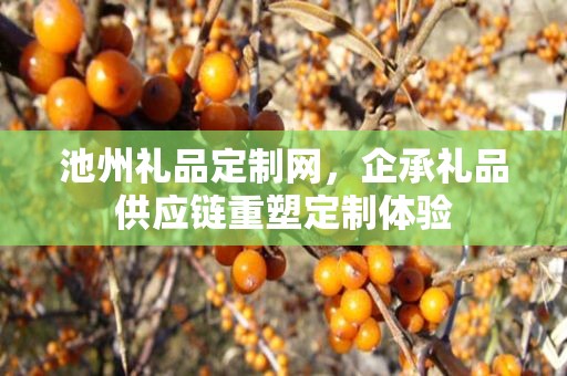 池州礼品定制网，企承礼品供应链重塑定制体验