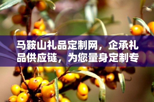 马鞍山礼品定制网，企承礼品供应链，为您量身定制专属礼品