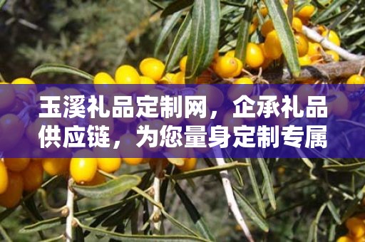 玉溪礼品定制网，企承礼品供应链，为您量身定制专属礼品