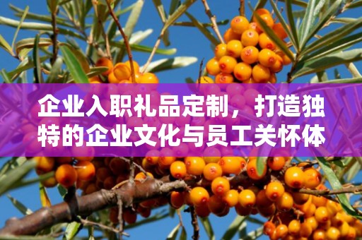 企业入职礼品定制，打造独特的企业文化与员工关怀体验