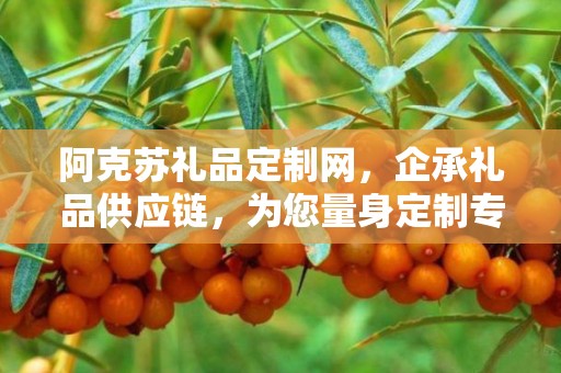 阿克苏礼品定制网，企承礼品供应链，为您量身定制专属礼品