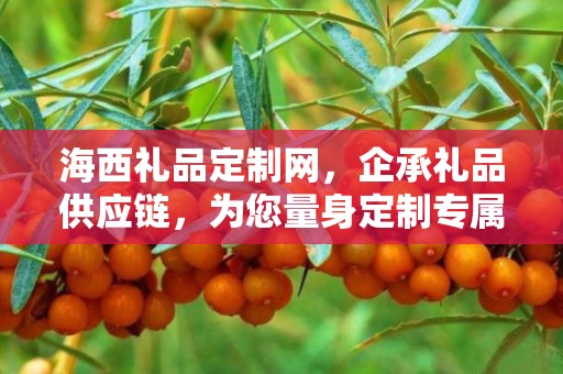 海西礼品定制网，企承礼品供应链，为您量身定制专属礼品