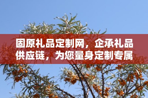 固原礼品定制网，企承礼品供应链，为您量身定制专属礼品