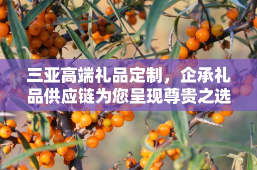 三亚高端礼品定制，企承礼品供应链为您呈现尊贵之选