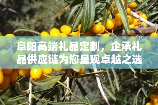 阜阳高端礼品定制，企承礼品供应链为您呈现卓越之选