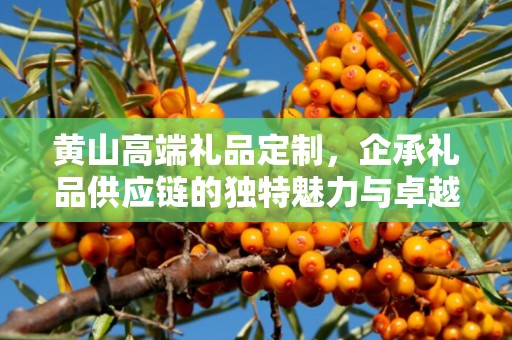 黄山高端礼品定制，企承礼品供应链的独特魅力与卓越服务