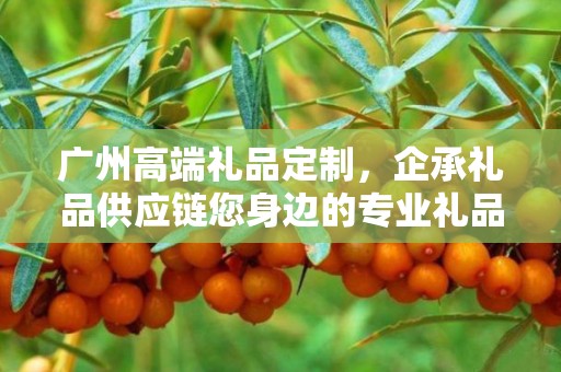 广州高端礼品定制，企承礼品供应链您身边的专业礼品定制公司