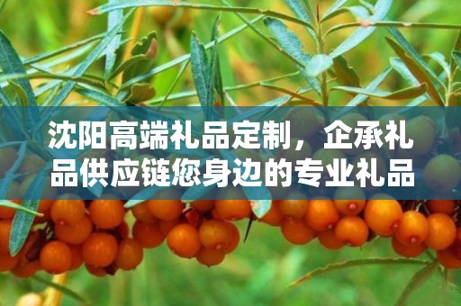 沈阳高端礼品定制，企承礼品供应链您身边的专业礼品定制公司