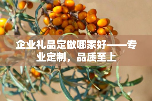 企业礼品定做哪家好——专业定制，品质至上