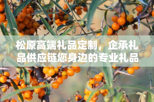 松原高端礼品定制，企承礼品供应链您身边的专业礼品定制公司