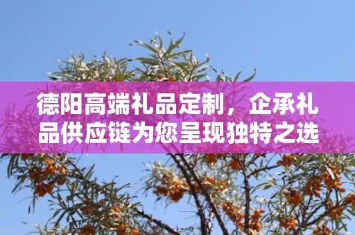 德阳高端礼品定制，企承礼品供应链为您呈现独特之选