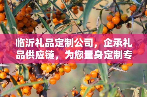 临沂礼品定制公司，企承礼品供应链，为您量身定制专属礼品