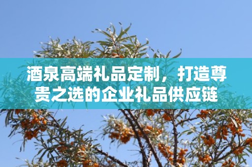 酒泉高端礼品定制，打造尊贵之选的企业礼品供应链