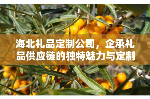 海北礼品定制公司，企承礼品供应链的独特魅力与定制之旅