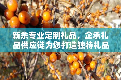 新余专业定制礼品，企承礼品供应链为您打造独特礼品体验