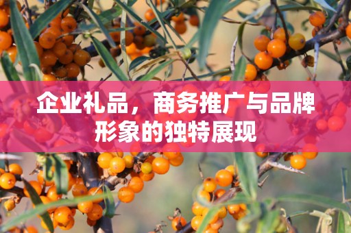 企业礼品，商务推广与品牌形象的独特展现