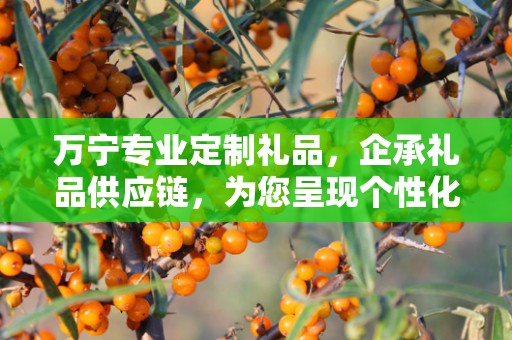 万宁专业定制礼品，企承礼品供应链，为您呈现个性化定制之选