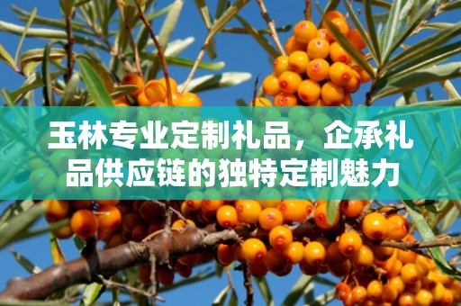 玉林专业定制礼品，企承礼品供应链的独特定制魅力