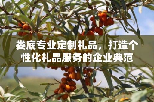 娄底专业定制礼品，打造个性化礼品服务的企业典范