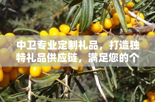 中卫专业定制礼品，打造独特礼品供应链，满足您的个性化需求