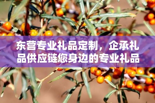东营专业礼品定制，企承礼品供应链您身边的专业礼品定制公司