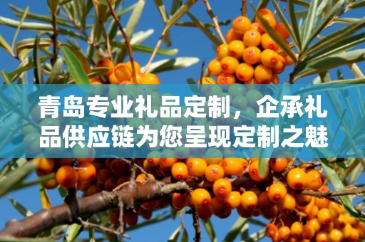 青岛专业礼品定制，企承礼品供应链为您呈现定制之魅力