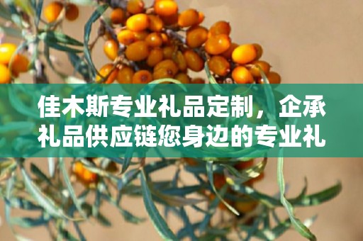 佳木斯专业礼品定制，企承礼品供应链您身边的专业礼品定制公司