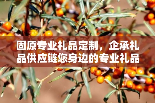 固原专业礼品定制，企承礼品供应链您身边的专业礼品定制公司