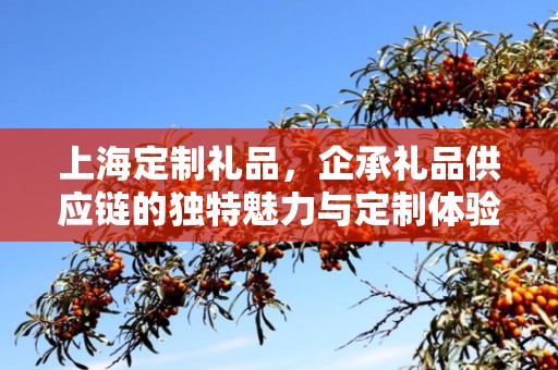 上海定制礼品，企承礼品供应链的独特魅力与定制体验