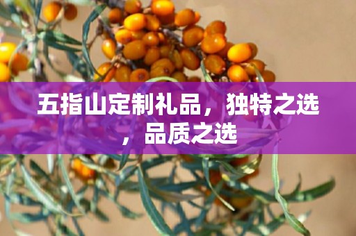 五指山定制礼品，独特之选，品质之选