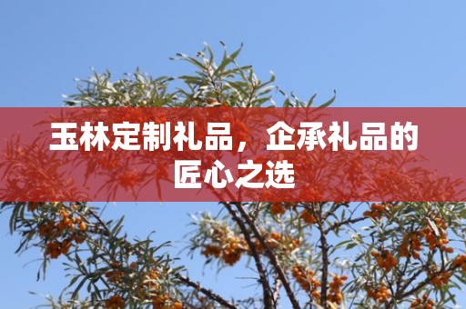 玉林定制礼品，企承礼品的匠心之选