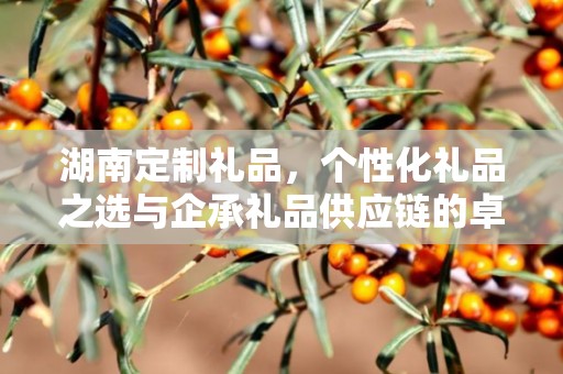 湖南定制礼品，个性化礼品之选与企承礼品供应链的卓越服务