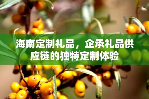 海南定制礼品，企承礼品供应链的独特定制体验