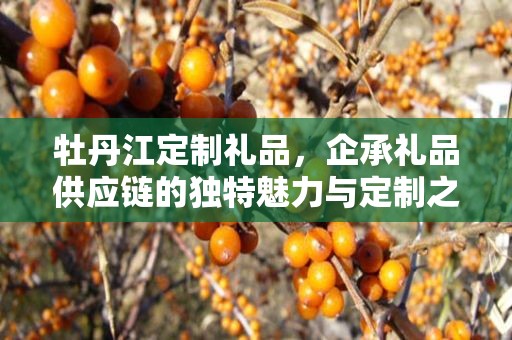 牡丹江定制礼品，企承礼品供应链的独特魅力与定制之旅