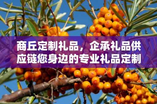 商丘定制礼品，企承礼品供应链您身边的专业礼品定制公司