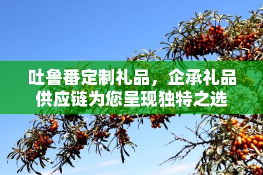 吐鲁番定制礼品，企承礼品供应链为您呈现独特之选